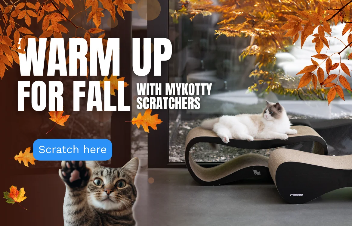 FALL
