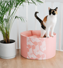 SET KATZENBETTEN  OTI + EMI