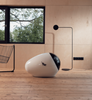 Intelligente Katzentoilette SPACE KOTTY