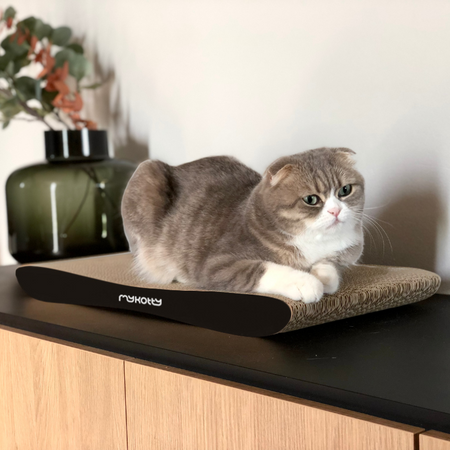 YODI – Katzenkratzbank Schwarz