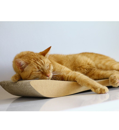 TOBI – Katzenkratzbank | braun