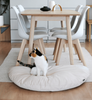 SET KATZENBETTEN  OTI + EMI
