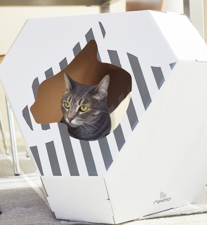 MIA – Katzenhaus mit Kartonmatte