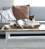 TOBI – Katzenkratzbank | braun