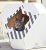 MIA – Katzenhaus mit Kartonmatte